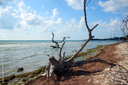 plage de floride