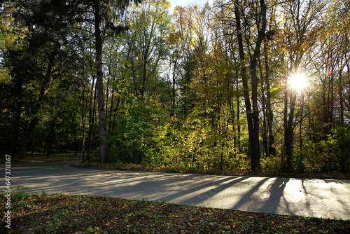 View of beautiful autumn pa...