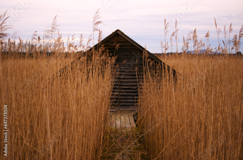 Fischerhütte am Federsee photo