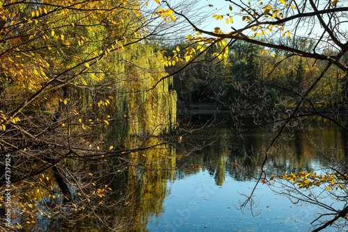 View of beautiful lake and ...