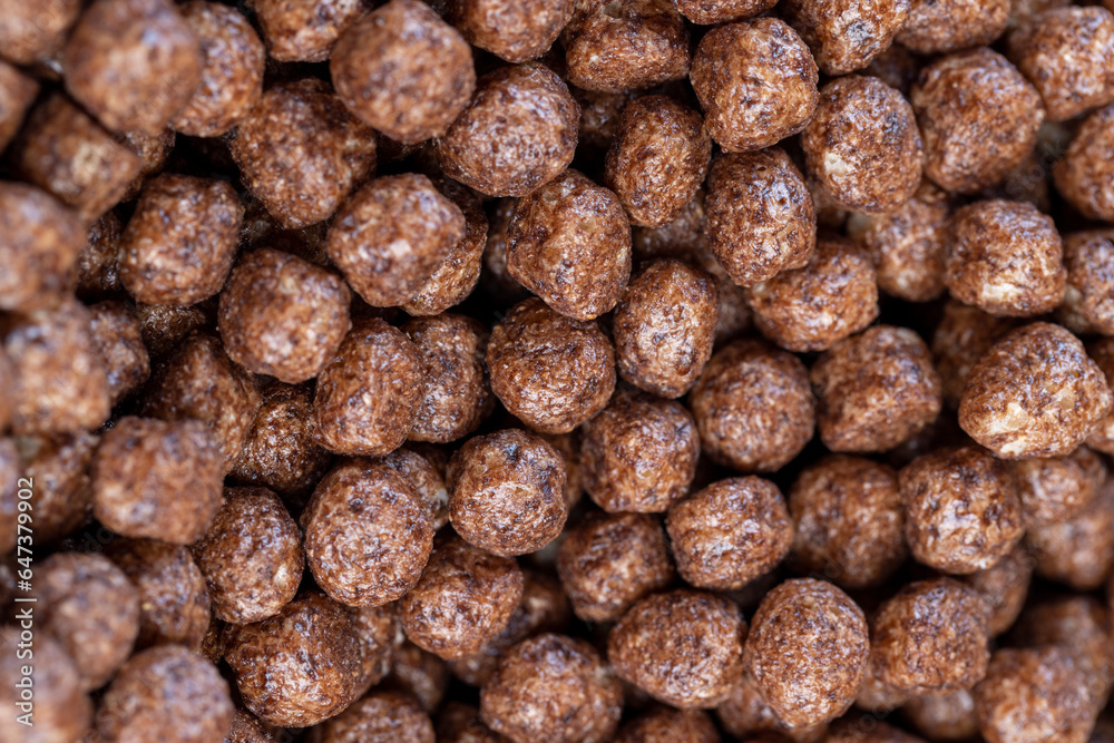 dry chocolate balls sweet and healthy breakfast before cooking dry chocolate balls sweet and healthy breakfast before cooking