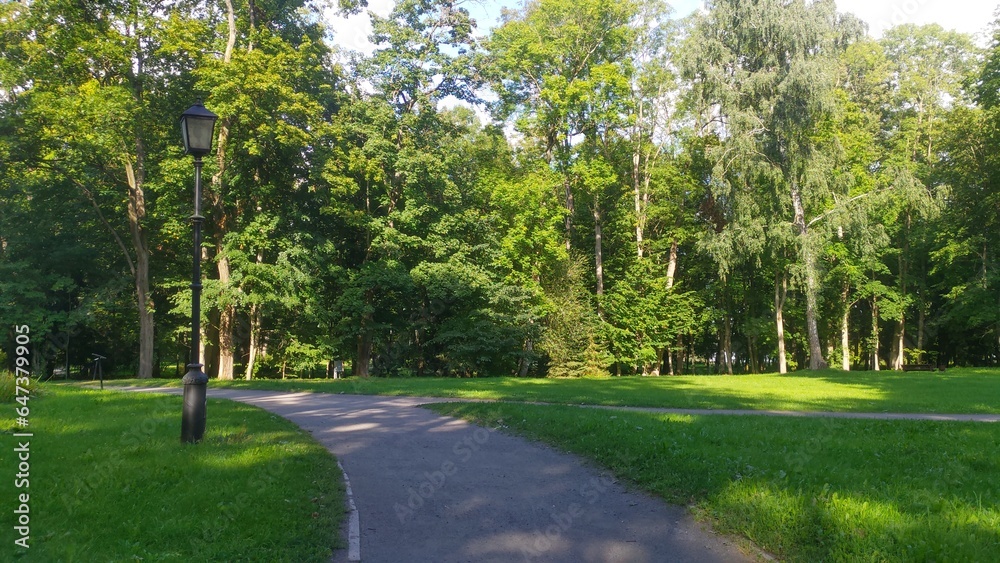 In the city park there is a pedestrian path among tall maples, lindens and birches. At the edges of the path are grassy lawns and lighted lanterns. Rays of sunlight break through the branches of trees