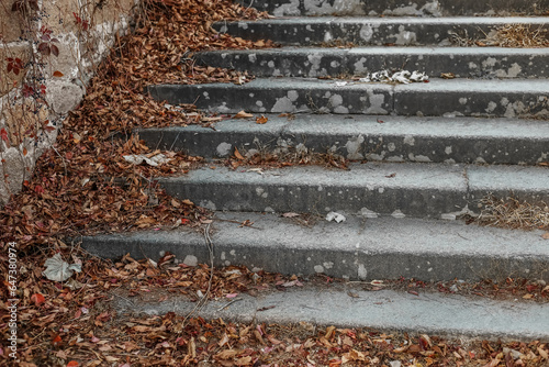 View of stairs with fallen leaves on autumn day