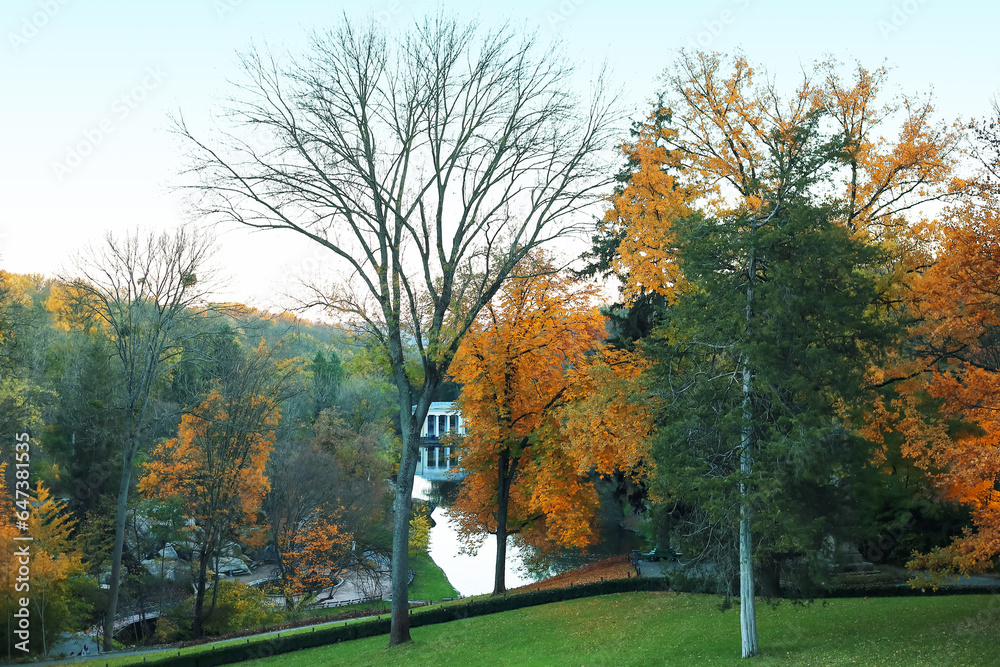Naklejka premium View of beautiful autumn park with trees