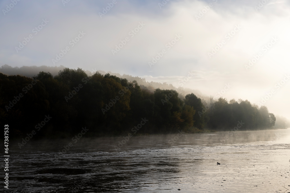 Foggy morning on the river