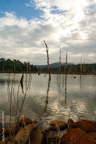 Brokopondo lake reservoir amd Ston Island in Suriname, South America photo