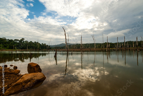 Brokopondo lake reservoir amd Ston Island in Suriname, South America photo