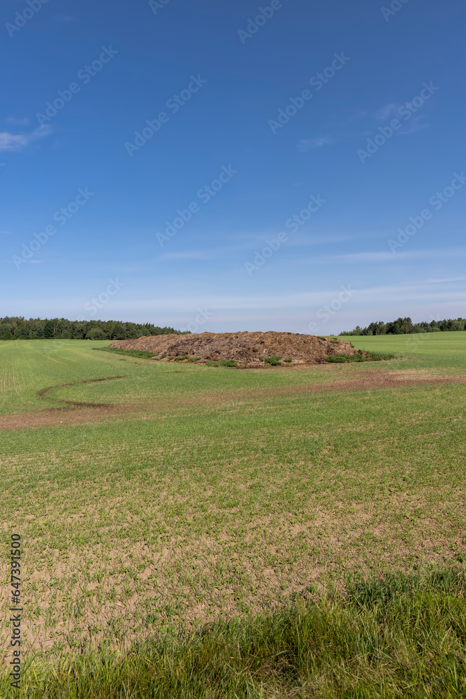 Fototapeta premium a pile of environmentally friendly manure