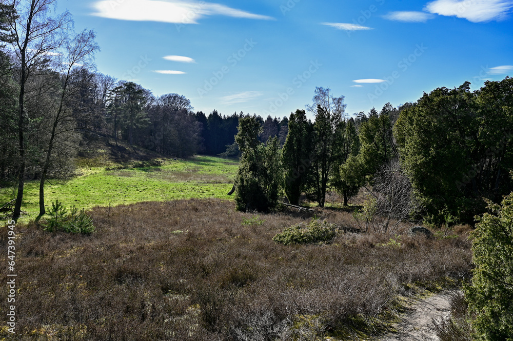 Naturpark Marxener Paradies in der Lüneburger Heide, Lüneburg mit blauem Himmel, Niedersachsen, Deutschland