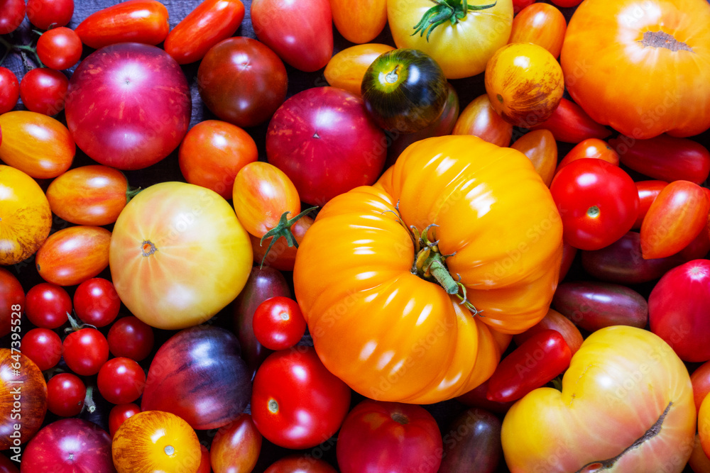 Tomatoes of various varieties and sizes on an iron tray on a wooden table.