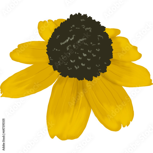 Realistic Yellow Flower Painted Isolated