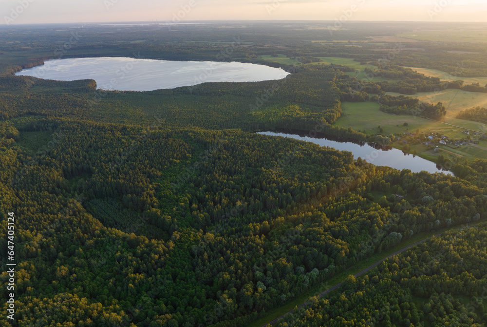 Lake in wild nature, aerial view. Lake on sunrise. Aerial panoramic landscape view of lake in wildlife. Drone view of wetland in forest. Rural environment, clean air co2 and ecology. Forest lake.