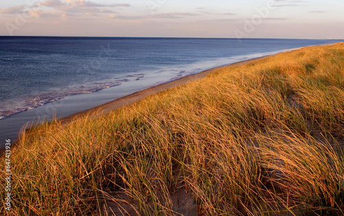 Fototapeta Naklejka Na Ścianę i Meble -  Cape Cod National Seashore at Golden Hour with Beach Grass and Ocean