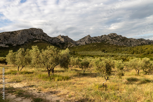 Les Alpilles