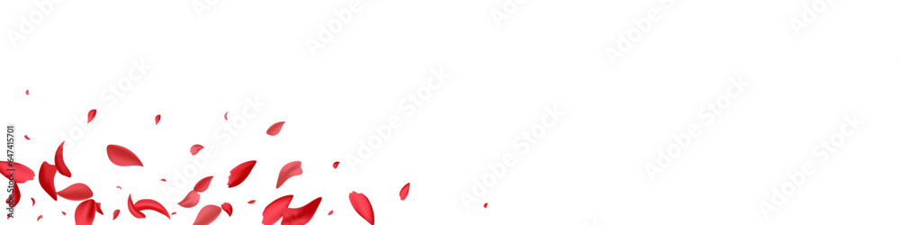 Red Peach Spring Vector White Panoramic