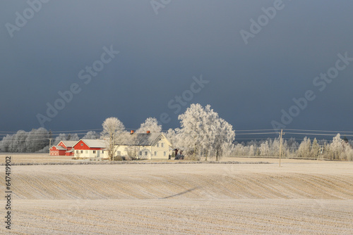 Idyllic winter scene from the countryside in Norway