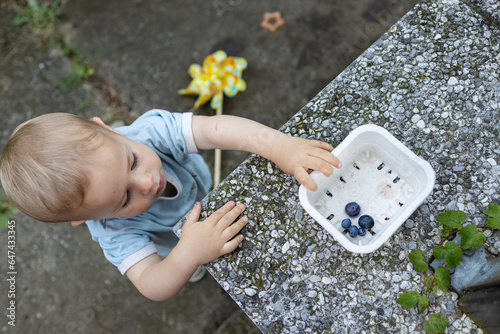 Cute baby boy eats blueberries in garden 