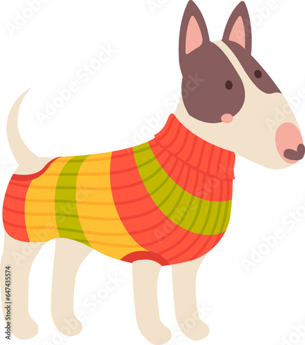 Bull Terrier Dog In Sweater