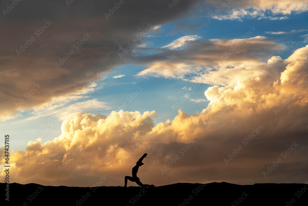 Woman silhouette dancing in the night, on the bright  sunset background.