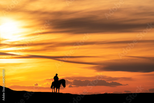 Silhouette of a traveler on a horse at sunset.