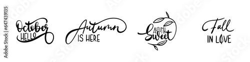 Hand lettering set for autumn,  fall, harvest time handwritten. Calligraphy thanksgiving or autumn wishes for holiday greeting card, banner, poster, web, social media, pattern and backgrounds. 