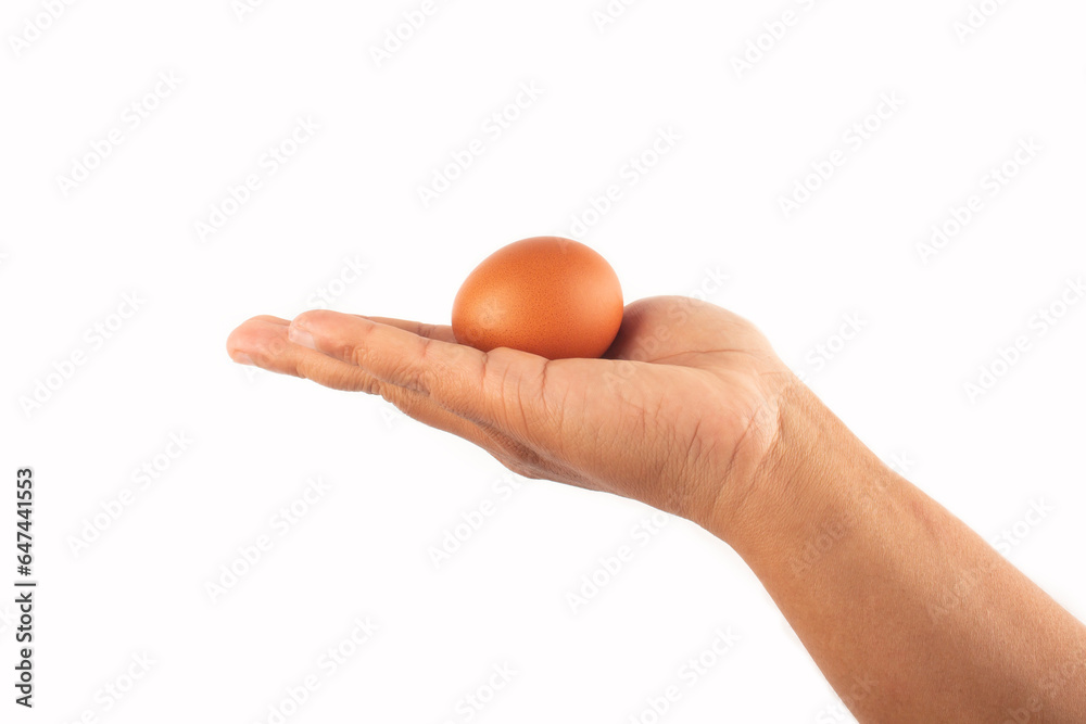 photo of egg on palm isolated on white background photo of egg on palm isolated on white background