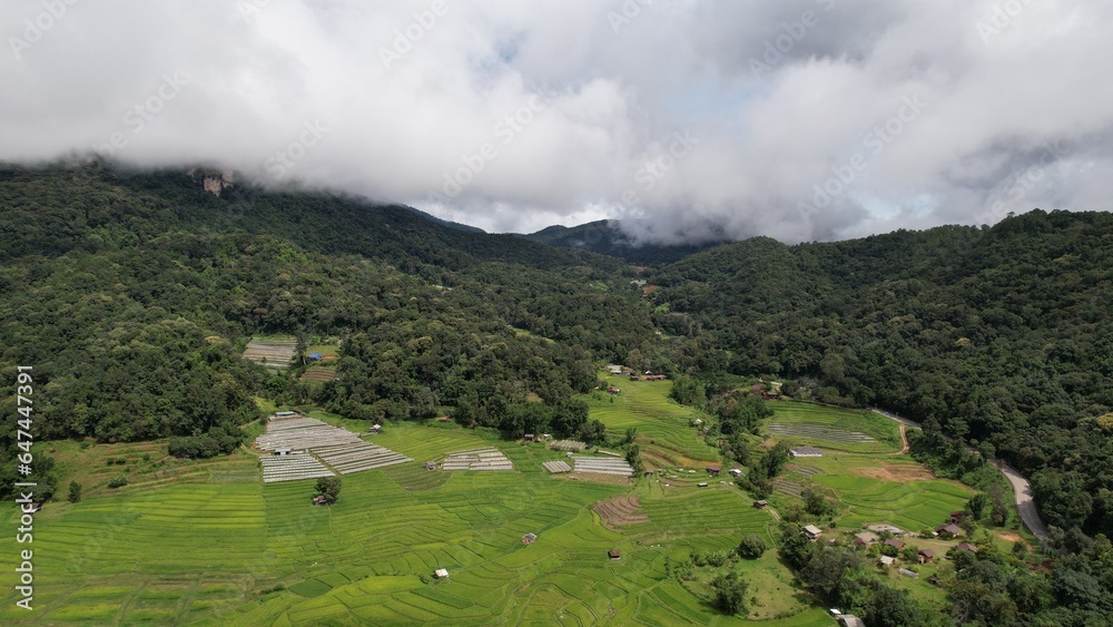 Aerial view of green field in valley, natural view