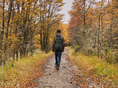 Person walking in a forest in autumn