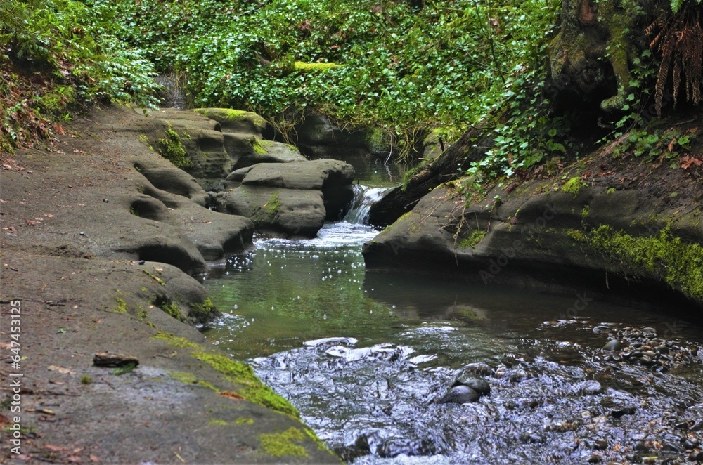 Creek with water flowing and a small waterfall in between rocks, where the river's edge is determined by sandstone. 