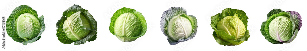 Png Set whole cabbage fresh transparent background - obrazy, fototapety, plakaty 