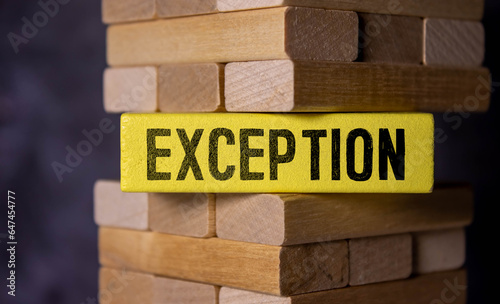 Photography Exception word letters on wooden blocks