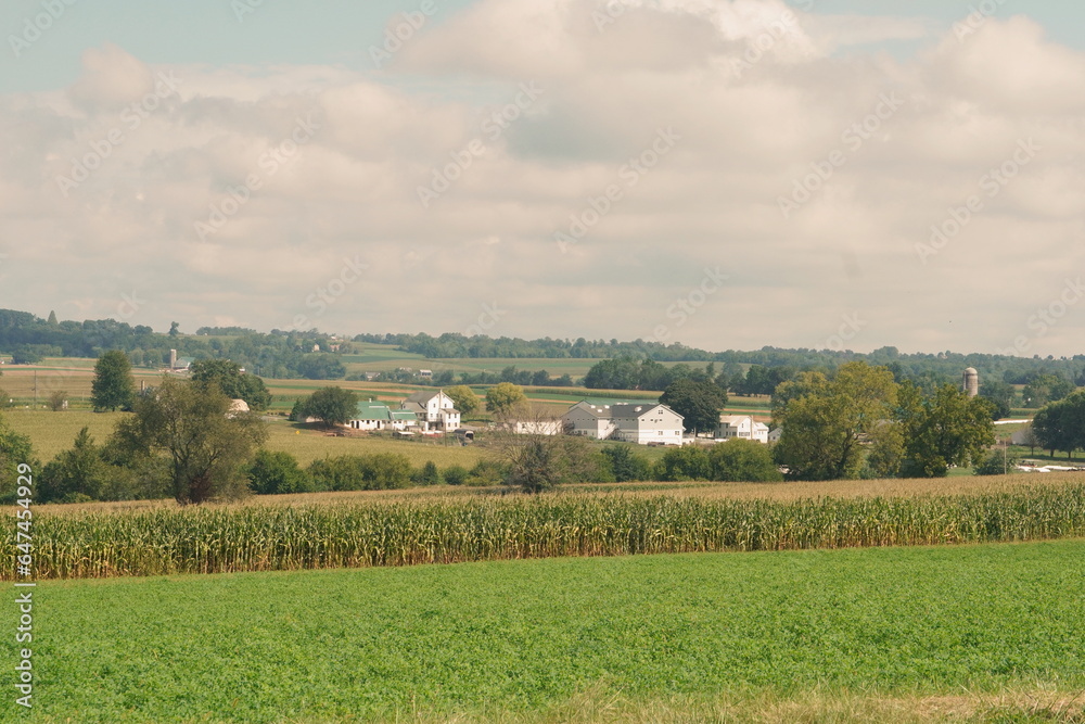 Landscape of Valley Dotted with Barns, Houses Silos, Fields, Sky in Summer