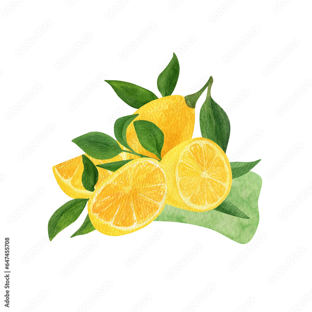Lemon fruit watercolor print. Illustration of lemon with green leaves and slices fruit. Lemon fruit watercolor print. Illustration of lemon with green leaves and slices fruit.