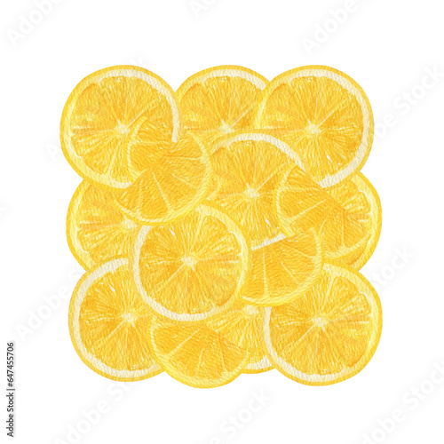Lemon fruit slices watercolor print illustration