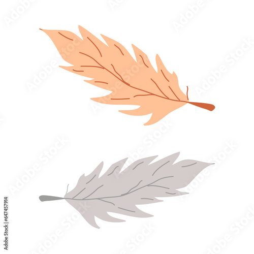 Hand drawn elements colored bird feathers wild tribe. Poster design, flyer. Vector illustration.