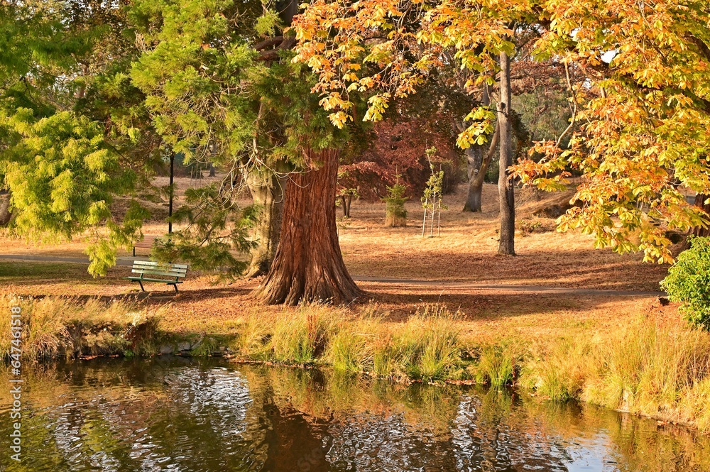Beautiful autumn scenery at Beacon Hill Park, Victoria, Vancouver Island, British Columbia, Canada Beautiful autumn scenery at Beacon Hill Park, Victoria, Vancouver Island, British Columbia, Canada