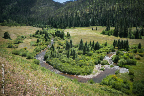 View looking down on Bear Creek in southern Colorado near Rico and Telluride through grassy meadows in summer on beautiful blue sky day