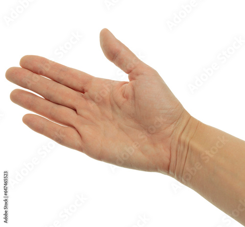 A womans hand, isolated on transparent,png,points straight. Beautiful, elegant hand gesture, isolate, fingers, pointer