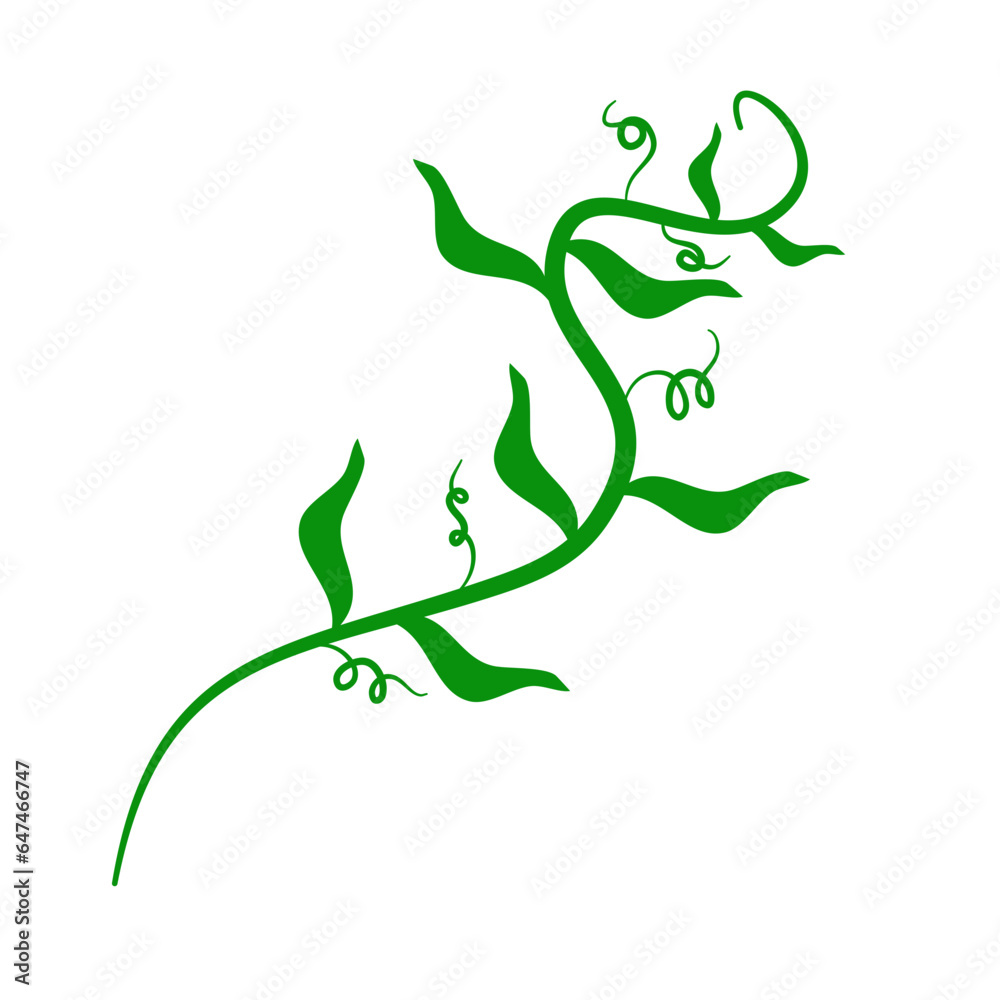 Fototapeta premium Green Vines Decoration
