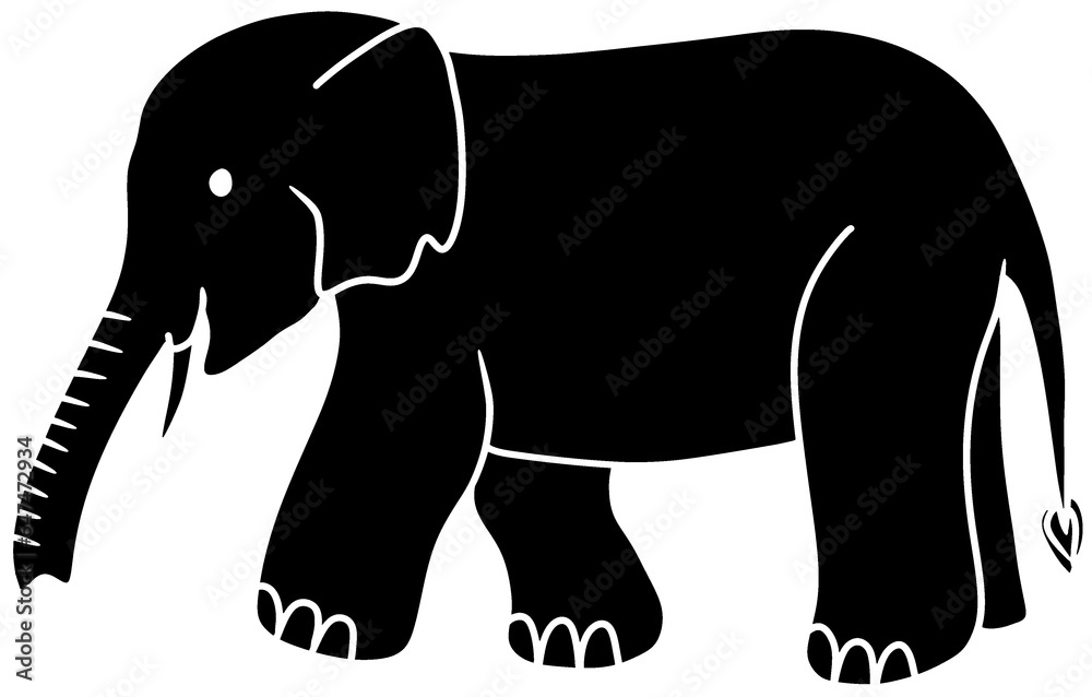 Fototapeta premium elephant