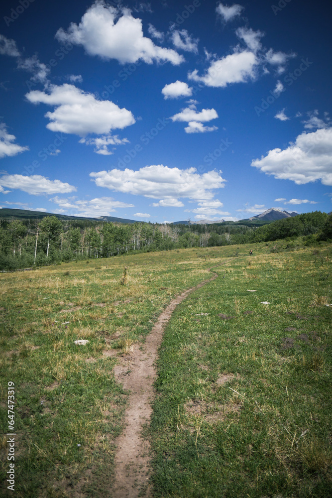 Trail through grassy green meadow in Mancos Colorado in summer under Hesperus Mountain Trail through grassy green meadow in Mancos Colorado in summer under Hesperus Mountain