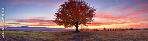 When Earth Meets Sky  Autumn s Palette and the Enchanting Glow of Sunset  Panorama  ultra-wide