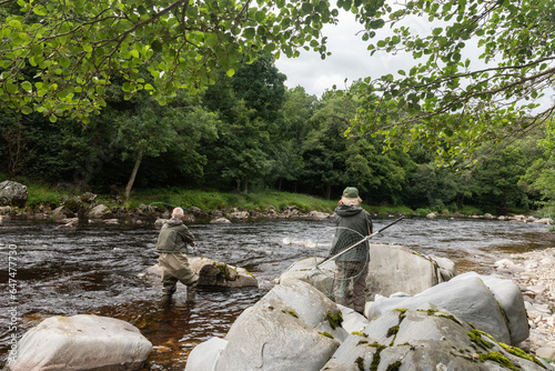 Salmon fisherman with his grille casting his fly into the Avon River, Moray, Scotland, United Kingdom.  photo
