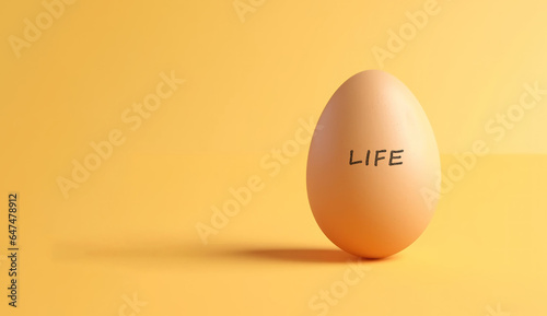 brown egg on a yellow background with copy space, life concept