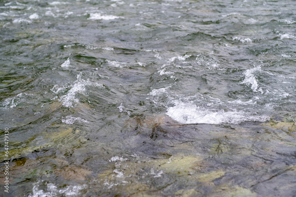 Obraz premium A wide, full-flowing mountain river with a fast current. Large stones stick out of the water. The large turquoise-colored mountain river Katun in the Altai Mountains, Altai Republic.