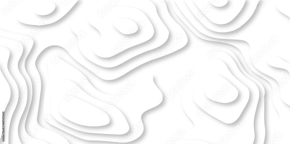 Abstract white papercutbackground 3d realistic design use for ads banner and advertising print design vector. 3d topography relief. Vector topographic illustration.
Abstract white papercutbackground 3d realistic design use for ads banner and advertising print design vector. 3d topography relief. Vector topographic illustration.