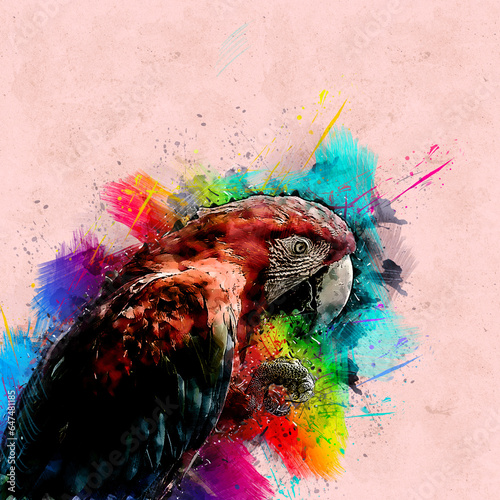 Macaw 245