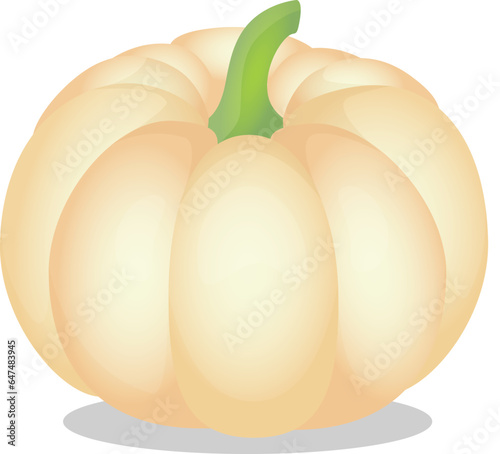 Pumpkin vector illustration. Autumn Halloween pumpkin, vegetable graphic icon or print, isolated on white background.