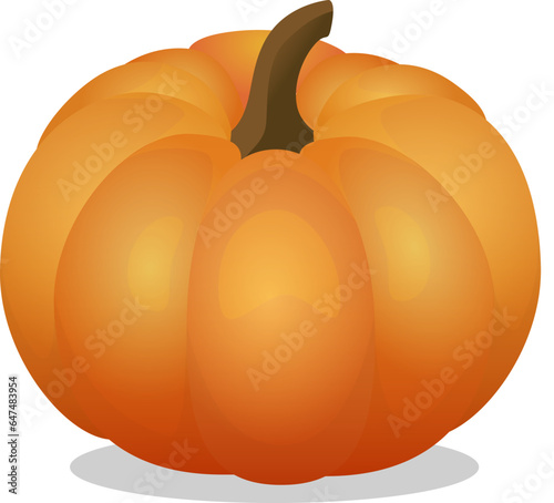 Pumpkin vector illustration. Autumn Halloween pumpkin, vegetable graphic icon or print, isolated on white background.