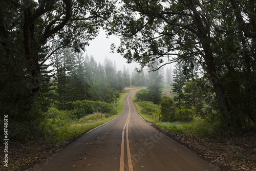 A Foggy View Of A Cemetery Road; Lanai, Hawaii, United States Of America